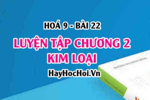 Luyện tập tính chất hoá học của kim loại, Nhôm Al, Sắt Fe và Hợp kim của Sắt - Hoá 9 bài 22